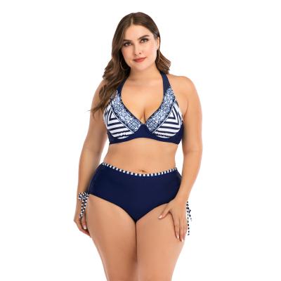 China Breathable Plus Size Beach Wear Private Label Bikini 2021 Custom Logo Women Swimwear for sale