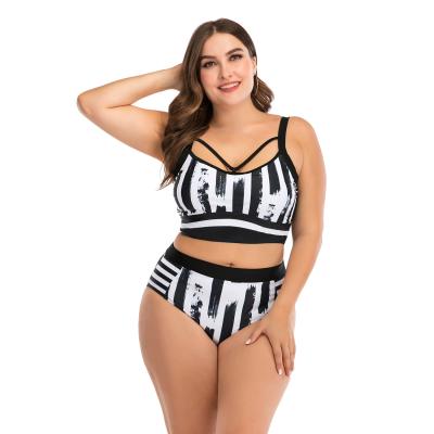 China Breathable Hot Selling Summer Vacation Plus Size Bathing Blank White Bikini Swimming Fashion for sale