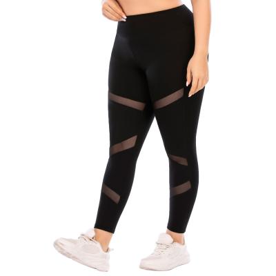 China Breathable Women Yoga Pants Plus High Waist Fitness Ladies Yoga Gaiters Pants With Pocket for sale