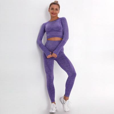 China Sweat-Wicking Seamless Knitted Yoga Workout Clothes Tight Small Jacquard Sports Suit Bodybuilding Yoga Jacket for sale