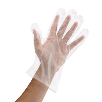 China TPE Biodegradable Disposable Gloves , Stretchable Disposable Cooking Gloves  for sale