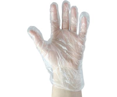 China Biodegradable Disposable Polythene Gloves For Food Handling Transparent Color for sale