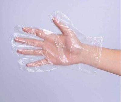 China CE Certificated Disposable Poly Gloves Various Thickness For Food Service for sale