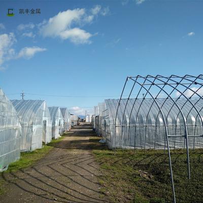 China Fruits Vegetable Flowers Agricultural Greenhouse Galvanized Steel Structure Greenhouse for sale