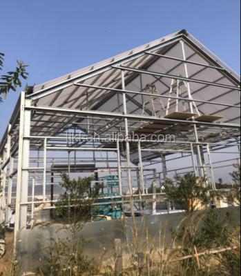 China Hot Sale Vegetable Zinc Steel Structure Greenhouse Manufacturers Agricultural Green House for sale