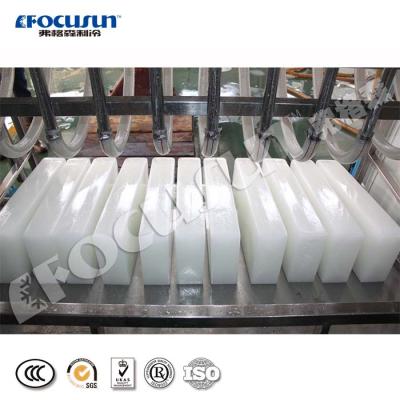 China Focusun Factory 12.5 Ton Containerized Brine Block Ice Fresh-keeping With High Quality for sale