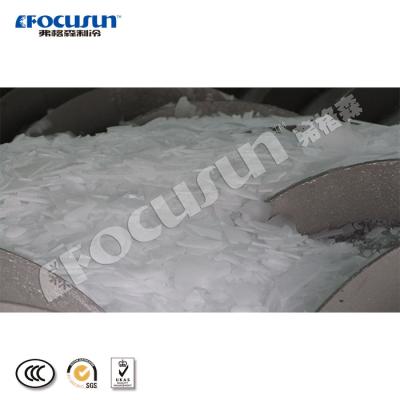 China Maintain Temperature 2020 Best Price 20feet Containerized Screw Ice Storage Cold Room System For Flake Ice for sale