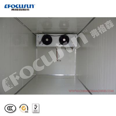 China Hotels New Technology 40 Ft Containerized Type Solar Power Low Temperature Cold Room For 3 Hours for sale