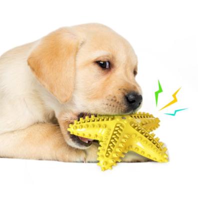 China New Pet Dog Toy Viable Chew Toy Pet Rubber Dog Toothbrush Cleaning Interactive Toys TPR Starfish for sale