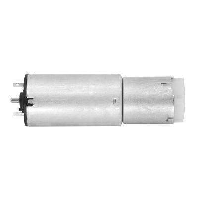 China Drip-proof China mini gear dc motor strong magnet 12V/24V planetary gearbox DC motor for car trunk à venda