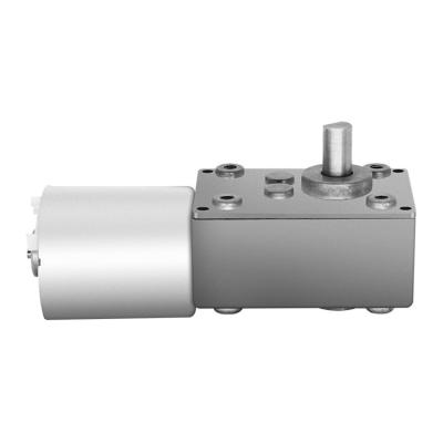 China Drip-proof High Quality Wholesale Reduction DC Worm Gear Motor Brushless For Robotics Smart Equipment à venda