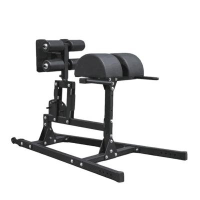 China Modern Glute Ham Developer GHD for sale