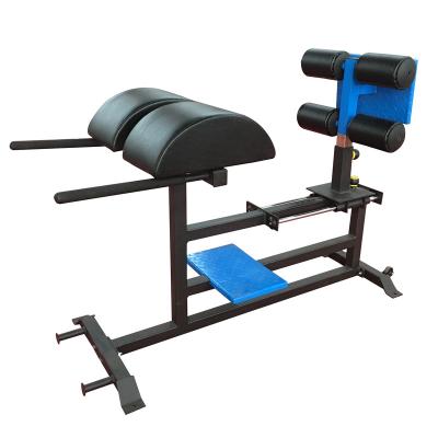 China Modern Commercial GHD Gym Bench Strength Machine Gym Equipment for sale