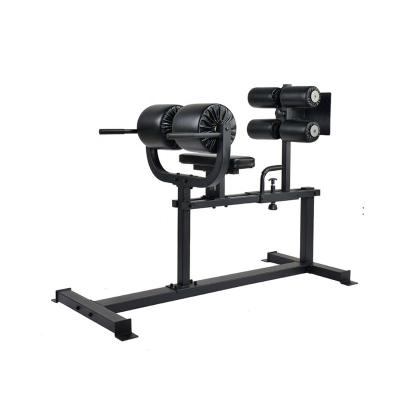 China Modern Roman Chair Glute Ham Developer Bench For Gym Fitness Equipment for sale