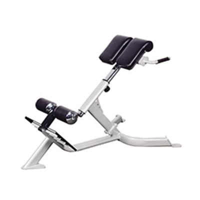 China Light Modern Multifunctional Home Business Equipment Fitness Gym Roman Chair for sale