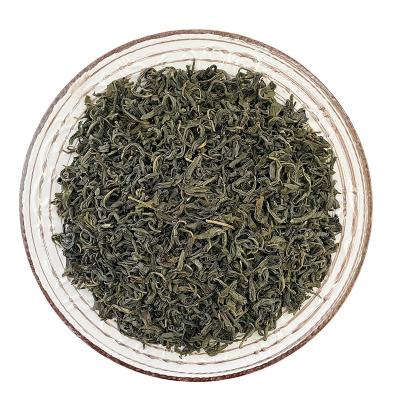 China China Premium Chunmee Tea Loose Leaf Fresh Jasmine Green Chinese Green Tea for sale