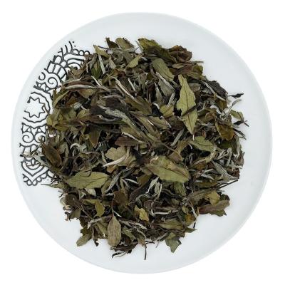 China Fujian fuding compressed tea wholesale manufacture various white tea for sale