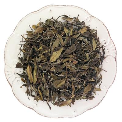 China China silver white tea making factory loose tea needle fuding loose leaf for sale