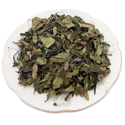 China Compressed tea Fujian fuding peony wholesale white tea leaf white tea leaves for sale