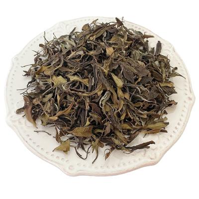 China Loose Anji Tea Factory Organic Extract Manufacturing China Financing White Tea for sale