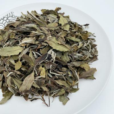 China Compressed tea fuding Fujian peony tea bai MU Dan afternoon time high quality white tea white black peony for sale