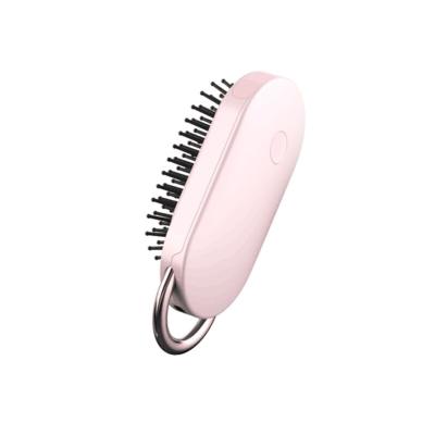 China Detachable Main High Quality Electric Hairdressing Brush Negative Ion Comb For Lady for sale