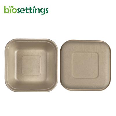 China Minimalist Bagasse Microwavable Biodegradable Square Disposable Sandwich Containers Food Compost OK Tray Square Dishes for sale