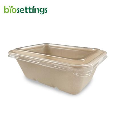 China Minimalist 750ml 180*125*64mm Sugarcane Bagasse Lunch Box With Lid Rectangular Disposable Compostable Bagasse Takeout Boxes for sale