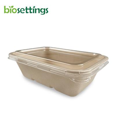 China Eco-Friendly Disposable Minimalist 650ml 180*125*55mm Rectangle Lunch Box Bagasse Food Box Bagasse Pulp With PET Lid for sale