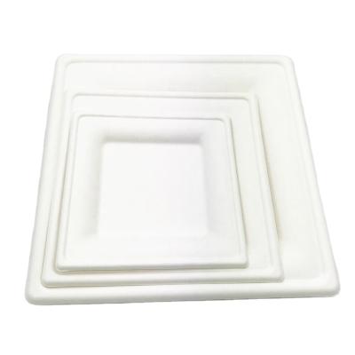 China 10 Inch Square Disposable Disposable Dish PFAS FREE Biodegradable Sugarcane Bagasse Pulp Disposable Dishes for sale