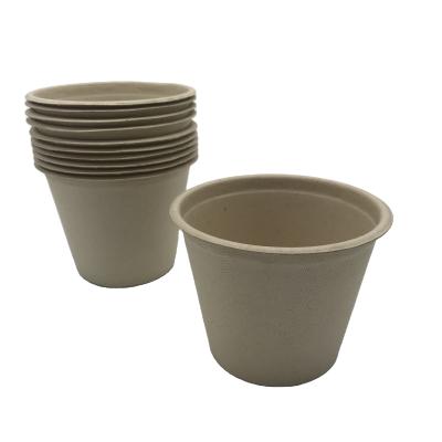 China 500ml 17oz dia114*83mm sustainable cup with lid PFAS FREE sugarcane bagasse pulp coffee compostable biodegradable milk cup for sale