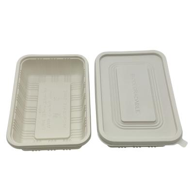 China Disposable Disposable Cornstarch Lid For Degradable Dish For Food Fruit for sale