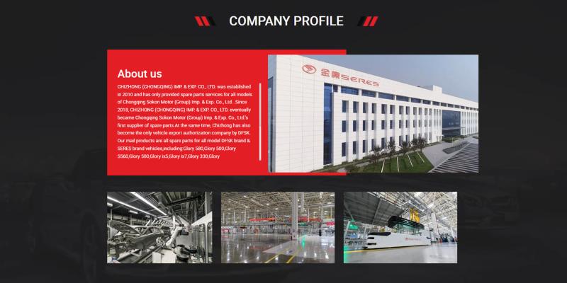 Verifizierter China-Lieferant - Chizhong(Chongqing) lmp.& Exp.Co.,Ltd.