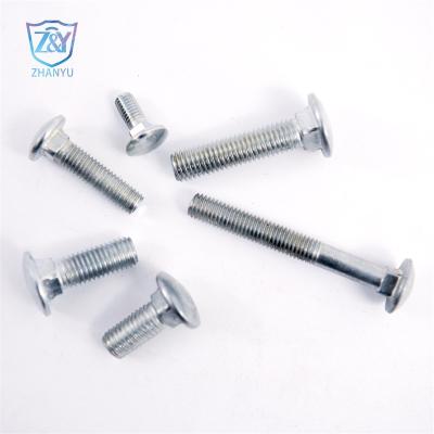 Cina Factory price Carriage bolt came from China also with best quality in vendita