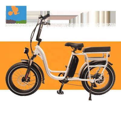 China RaiderRunner-34F aluminum alloy electric bike 20