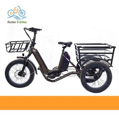 China New Design Aluminum Alloy RaiderTrike-C202 Wheel Durable 3 Wheel Removable Battery Pedal Assist Electric Cargo Bikes Electric Tricycles For Adults for sale