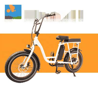 China Long Seat Ebike RaiderRunner-32F 20Inch750W Fat Tire Electric Cargo Bike Electric Bicycle Tricycle For Adults for sale