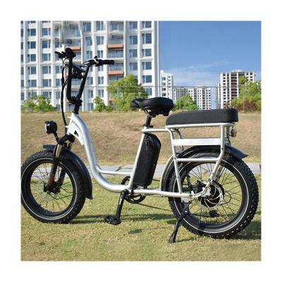 China Fat Tire Aluminum Alloy RaiderRunner-34F 20Inch 750w48V Cargo Bike Electric Hybrid Utility Bike ebike and other bike for sale