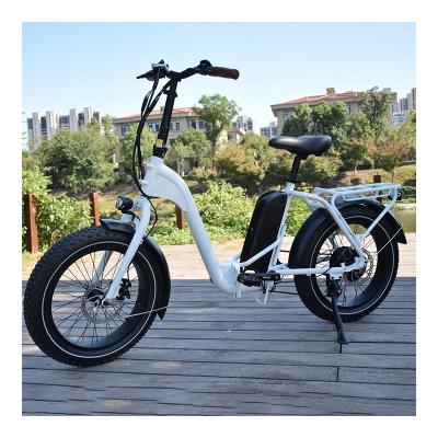 China 20 Inch 48V OEM 750w Fat Tire Fat Bike RaiderExpand-41F Folding Fat Tire Mountain Powerful Ebike Adult Electric Folding Bicycles For Adults for sale