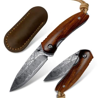 China High Quality Damascus USA Steel Multi Functional Knife 73 Layers Drop Iron Wood Handle Folding Knife for sale