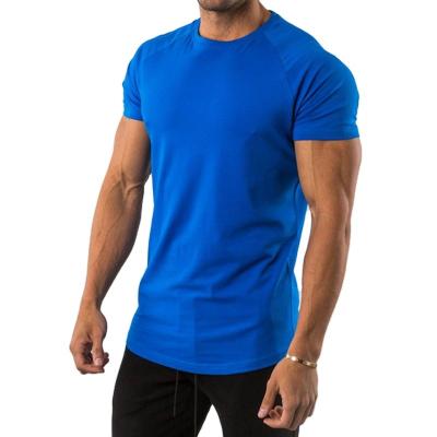 China Anti-Shrink OEM Workwear Cotton Blue Streetwear T Shirt Custom T Shirt Printing Blank Gym T-shirt For Men for sale