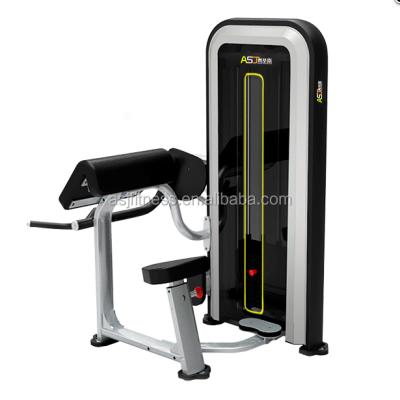 China new fitness equipment gym equipment strength machine biceps machine ASJ-E807 ASJ-E807 for sale