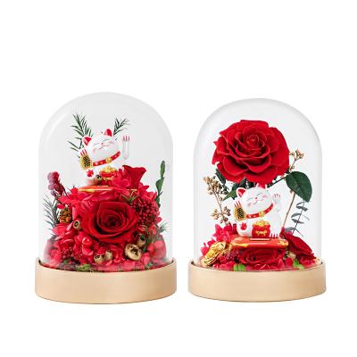 China Environmental Protection Green Lucky Cat Preserved Roses Eternal Flower Immortal Preserved Flowers In Glass Dome Gift Box for sale