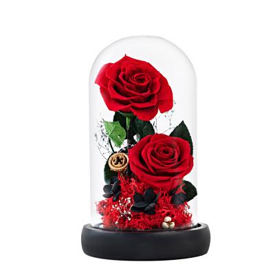 China Green Environmental Protection 2022 Valentine Gifts High Quality Popular Eternal Rose Preserved Flower in Glass Eternal Rosa for sale