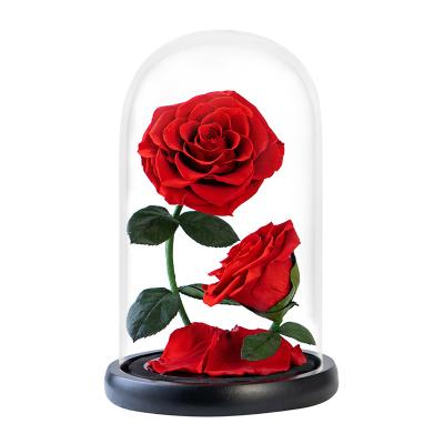 China Preserved Rose Hot Sale Red Rose In Preserved Glass Dome Rose Eternal Flower Gift For Valentine's Day for sale