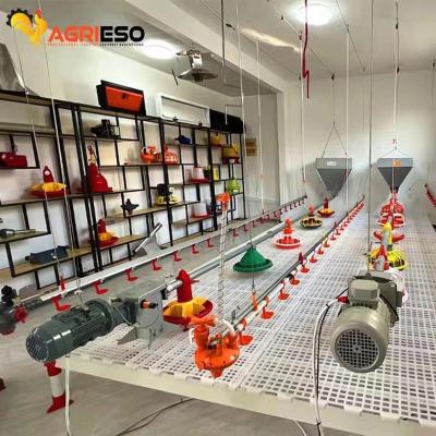 China Farms Agrieso Poultry Farming Equipment Poultry Equipment Production Line Feeding for sale