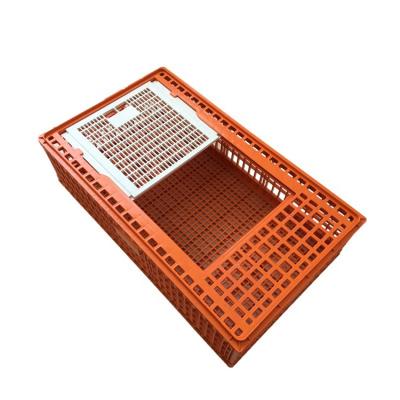 China High Quality Farms Agrieso Quality Plastic Crate Cage Transport Transport Crates For Live Poultry for sale