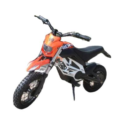 China High Quality Unisex 16 Styles 500W Multi Inch Double Electric Motorcycle for sale