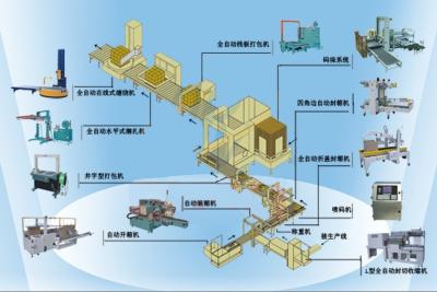 China A linha de empacotamento automática, caixa aberta automática da caixa, suficiência, pesa, sela, prende com correias, empilha, envolve à venda