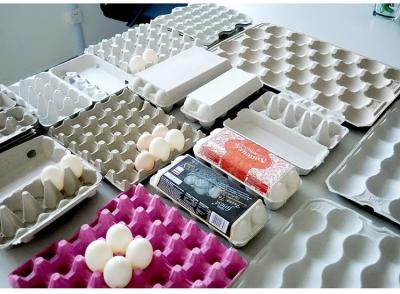 Cina Egg Carton Making Machine, Paper Egg Tray Forming Machine, Paper Egg Tray Molding Machine in vendita